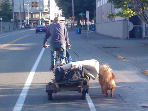 image of a bike hobo