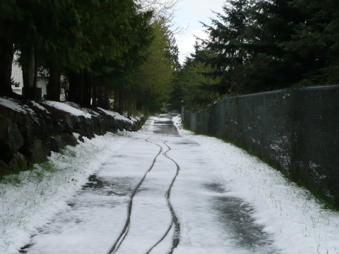 image of the Snohomish county interurban trail after a snowstorm